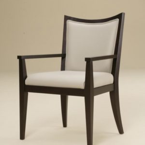 Accent Chairs with Arms Under 100